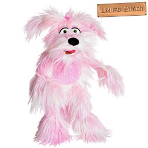 Hond Andi Schnulze